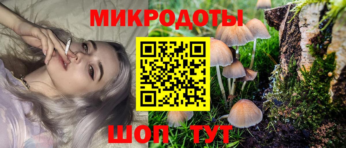 Галлюциногенные грибы Psilocybe Сорочинск