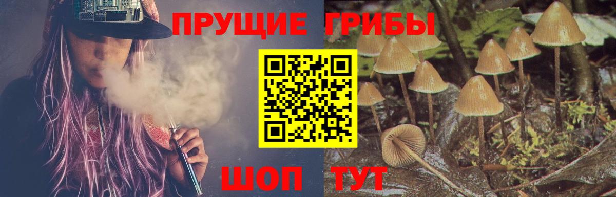 Псилоцибиновые грибы ЛСД  Галлюциногенные грибы GOLDEN TEACHER  Сорочинск  что такое наркотик  Вход с VPN 